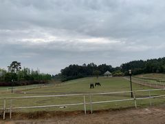 -保利石象湖景区