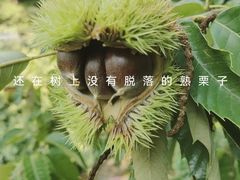 -北京水岸山吧度假村(雁栖镇店)