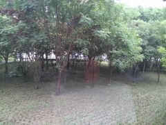 -金星公园