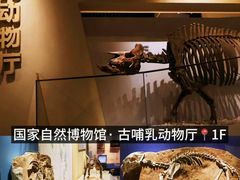 -国家自然博物馆