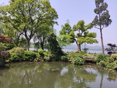 -杭州西湖柳莺里酒店