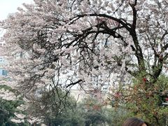 -红星桥(地铁站)