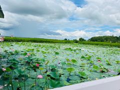 -黑龙江扎龙生态旅游区
