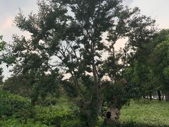 -云龙湖旅游景区