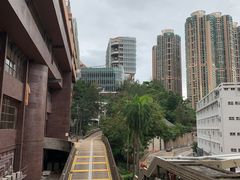 -香港大学