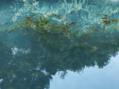 -成都市活水公园