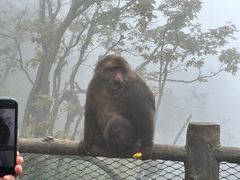 -峨眉山风景名胜区