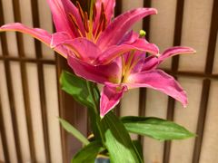 -山公馆餐厅(东塘店)