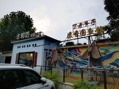 -丁老爷子苏香圆
