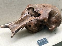 -呼伦贝尔民族博物馆