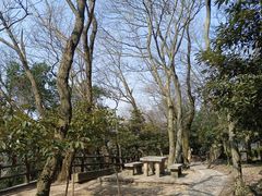 -上海佘山国家森林公园天马山园