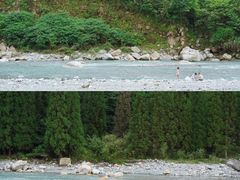 -虹口漂流