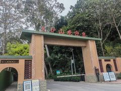 -火炉山森林公园