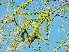 -花都广场