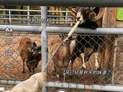 -长白岛森林公园