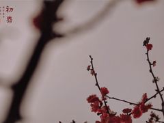 -杭州城北体育公园