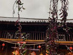 -尽善百年古院餐厅(王家老宅店)