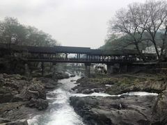 -鹿亭中村