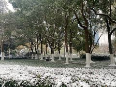 -天鹅湖体育公园