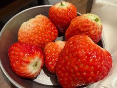 -炽城·烤肉名家(鸿达中央广场店)