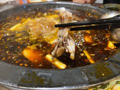 -费明中罗非鱼(大石坝店)