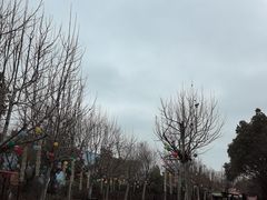 -芜湖方特东方神画