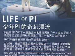 -白沙湾海滩