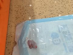 -伟伟宠物医院·CT影像中心·瑞派犬猫综合性门诊(汉口总院)