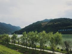 -后柳水乡