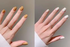 -ZX·美睫设计师汇聚店
