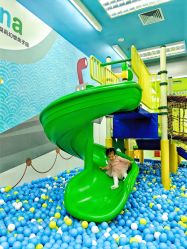 -莫莉幻想儿童乐园(北京丰台永旺店)