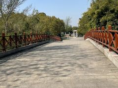 -中国扬子鳄村