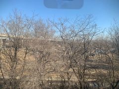 -丁香湖公园