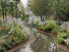 -深圳仙湖植物园