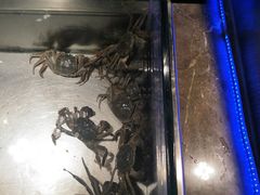 -欢乐牧场海鲜烤肉自助(牡丹园店)