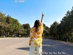 -北陵公园