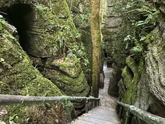 -梭布垭石林景区