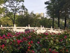 -晓港公园