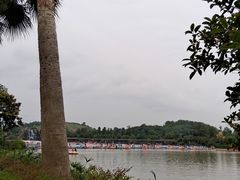 -枫香湖儿童公园