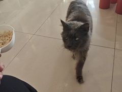-平行世界·猫咖(首经贸店)