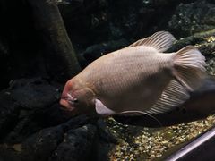 -江和美海洋公园