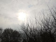 -堤角公园