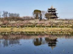 -上海海湾国家森林公园