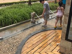 -碧海金沙