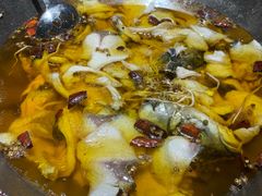 -雲蜀龙阁·金牌水煮鱼(方庄店)