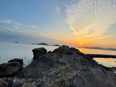 -上海市保健医疗中心