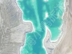 -金塔沙漠胡杨林景区