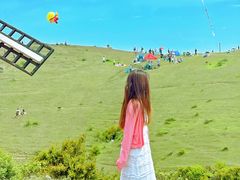 -大姆山草场