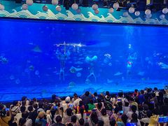 -烟台海昌鲸鲨海洋公园