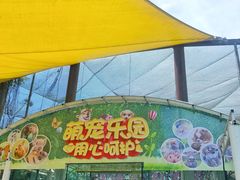 -百万葵园